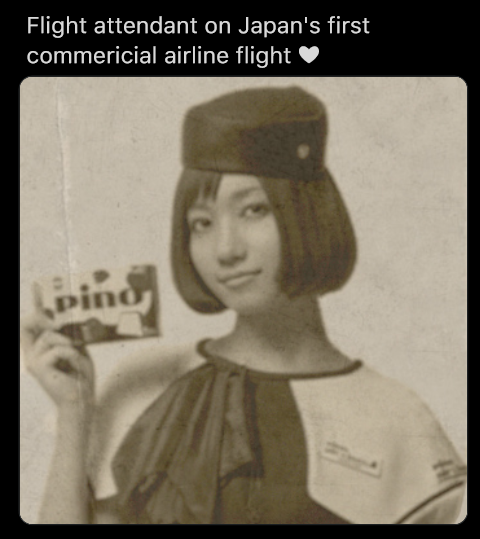 nocchi flight attendent meme